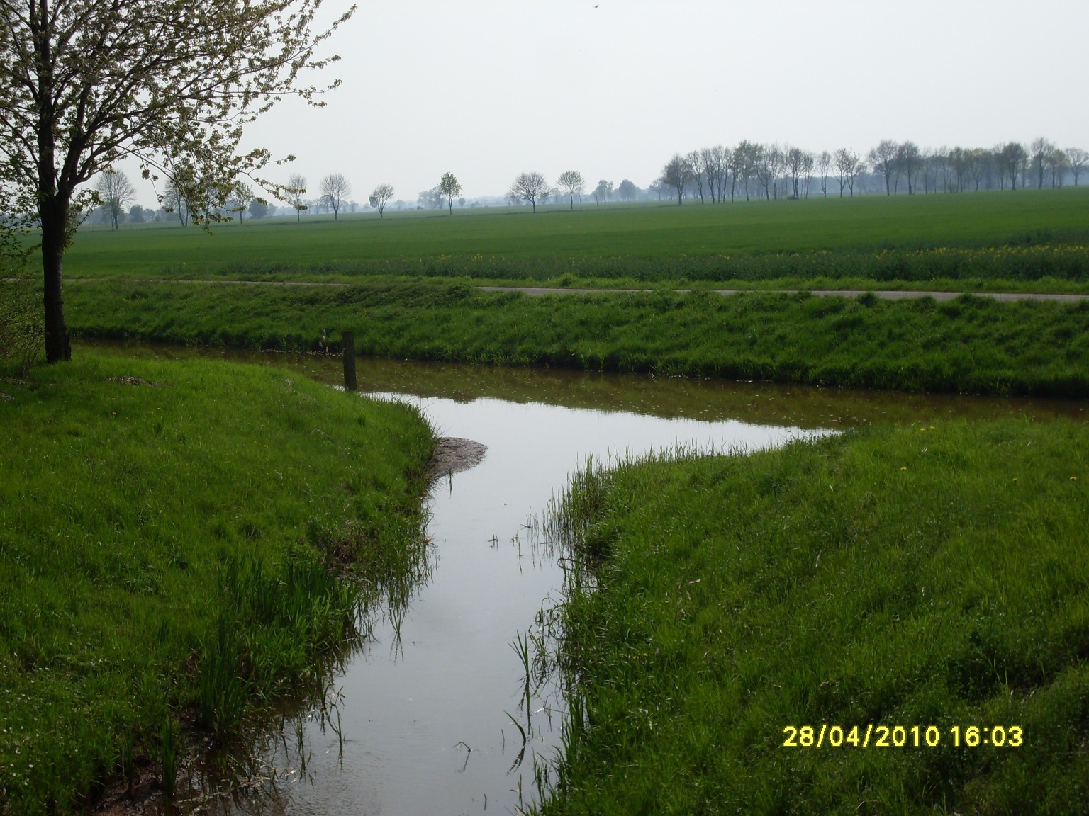 Abzweig Langhorst Kuhlengraben vom Sarningh�user Meerbach